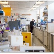 Leeds Institute of Medical Research Post-grads (@limr_pgstudents) 's Twitter Profile