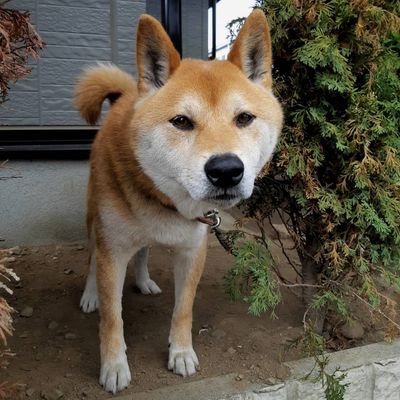 hfbaeume's profile picture. 倫理学研究者（博士（哲学）Ph.D in Philosophy）