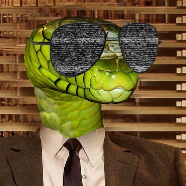 snakewasright Profile Picture