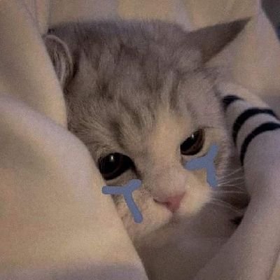 Ssquirrel7h30's profile picture. amen