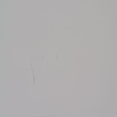 spades1017's profile picture.