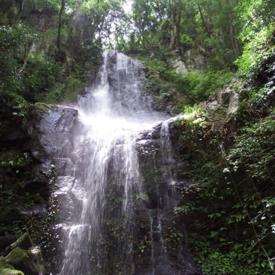 cswe3OQOjTeoWE0's profile picture. 離婚か単身赴任したい29歳男です