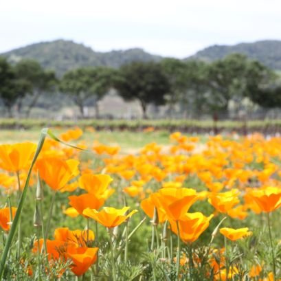 f243gggg's profile picture. 