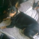 melanie oliver - @kkrds - Twitter