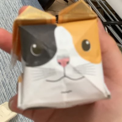 nyoruhoshi's profile picture. カスタムIEM作成修行中 RPミュート推奨 寝っ転がり親指勢 音ゲーはイヤホンが生命線？ ミリシタ: MLRWJABN ナナシス: PBhZFiY プロセカ:217240885804601354 デレステ:360503440 バンドリ: 977333 ゴリオン:ニンニクいれますか?