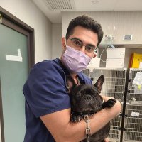 Antonio Giuliano (@antogiuliano81) 's Twitter Profile Photo