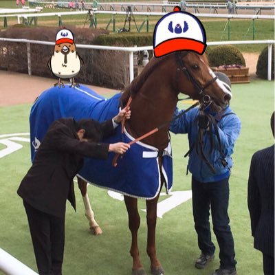 三十路少年+4。シャルドネゴールドとトウカイテイオーが好き。 和田富田山田🏇ワラウカドで一口馬主🇦🇹 アイコンはシャルドネゴールド(松籟S)にナスチーズ300さんのイラストをお借りしてます。写真も撮る。NikonD850。ちなDe