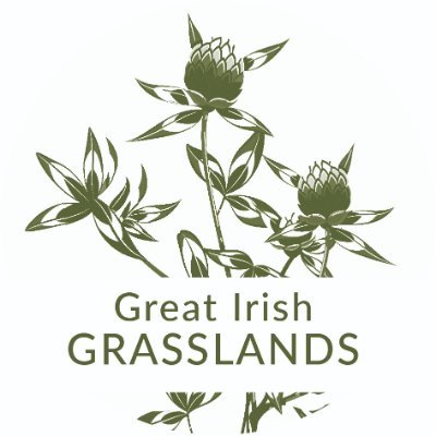 Semi-natural grasslands, & the farming systems which maintain them - for biodiversity, ecosystem services & rural communities. #GreatIrishGrasslands. 💜Gaeilge