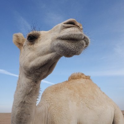 AMEFURASSHIの写真とビールは毎日
撮可大好きオタク