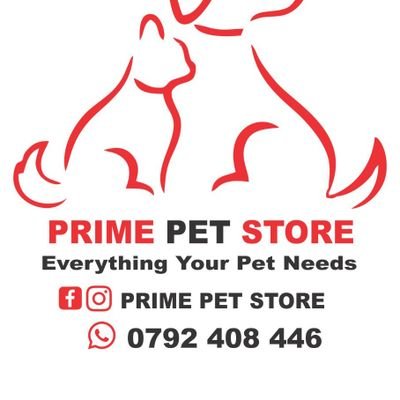 Leading Pet Products Online Shop in Kenya For Pet Toys, Pet Collars, Pet leash, Pet Grooming, Pet Food and Pet Relocation Services. 📞0792408446