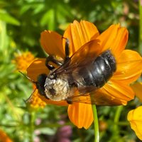 HWES_Science (@hwes_science) 's Twitter Profile Photo