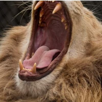 رغبتِي بالأختِفاء تزدَاد.