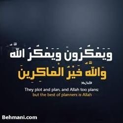 rasheedsabir's profile picture. 