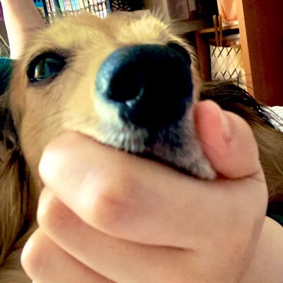 いかじゃがさんのプロフィール画像