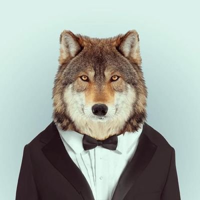 A wolf in man's clothing.