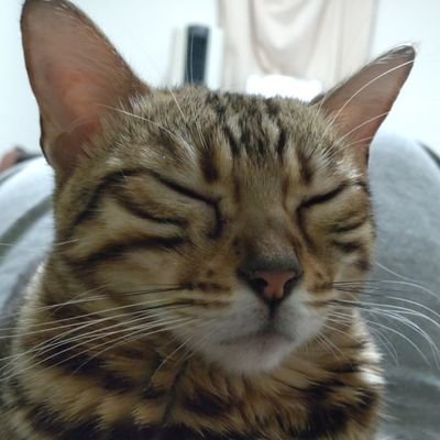 月見そばさんのプロフィール画像