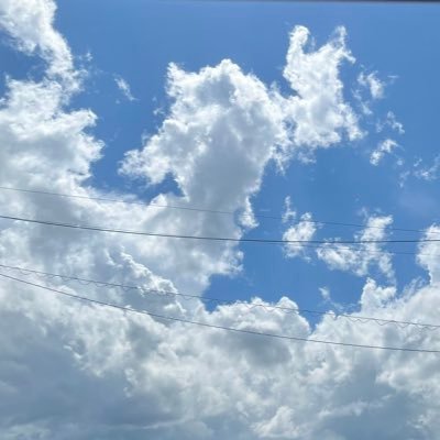 蒼🖌🦋🌧さんのプロフィール画像