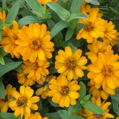 yuka1101nakada's profile picture. twice🏀⛹️‍♀️⛹️‍♂️#24卒