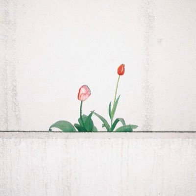 かのさんのプロフィール画像
