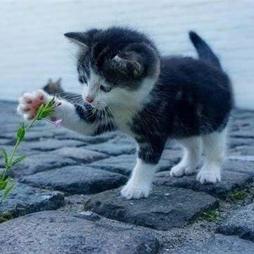 未経験でも出来るかんたん副業を紹介しています🌻スマホさえあればどこでもお仕事可能💙自分のペースで出来るときにやれます🌈私自身3ヵ月で月100万円達成しました♡本気で副業に挑戦したい方を無料でサポートしてます✨無言フォロー失礼します💦