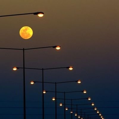 g_iraki's profile picture. nothing