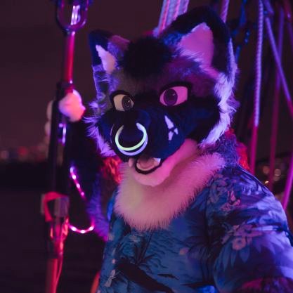 Just some furry trash trying to make it in this crazy world, #SpaceCatCrew suiter