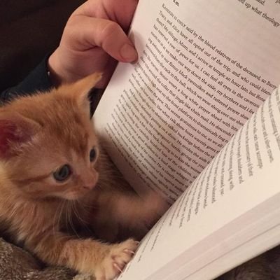 If you can't find me, I'm probably reading a book (or two, or three) 
she/her