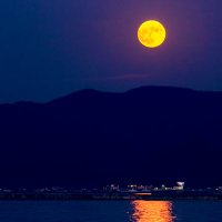 さと (@sato_tosa9) Twitter profile photo