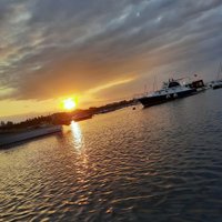 Ersan Kurt (AloneWolf) (@kurtersan78) 's Twitter Profile Photo