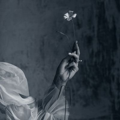 Jo_Anne_14's profile picture. Wandering Wanderer...Selenophile🌕. I play Scrabble for a living.