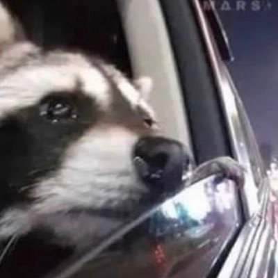 outworldliest's profile picture. It costs nothing to be kind, but I’d give my two cents to be petty.