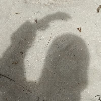 keepsmilingplis's profile picture. Quotes?!??
Learning Act's Page.
In love with STEAM 333