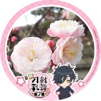ๆๅ
(tsukiusagi)๐๐ฐ (@tsukiusagi74) 's Twitter Profile