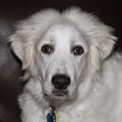 OneillMendi's profile picture. 