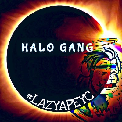 HALO_LLC_LAYC