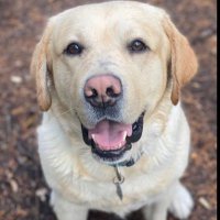 Gill Gentles (@gillygen) 's Twitter Profile Photo