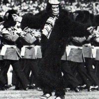 FC Monkey (@fcmonkey1982) 's Twitter Profile Photo FC Monkey (@fcmonkey1982) 's Twitter Profile Photo