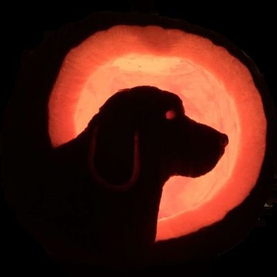 DannyK19111's profile picture. MAGA, ULTRA MAGA, LOVE MY COUNTRY JUST NOT SOME OF THE NUTS IN IT.