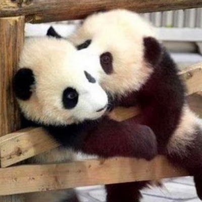 AngRodriguez17's profile picture. "Entre la fe y la incredulidad, un soplo. Entre la certeza y la duda, un soplo"