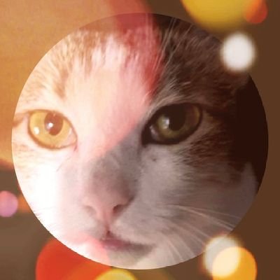 cx631123's profile picture. Take down the evil Miles Guo✊🏻