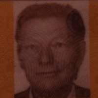 Wil Tollenaar (@wil_tollenaar) 's Twitter Profile