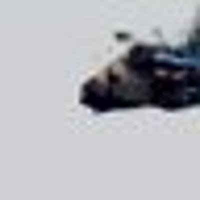AngelaG32978803's profile picture. Jestem fajny bq