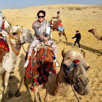 Jolanta Toma # Trzaskowski 2025 (@sedzina1) 's Twitter Profile