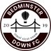 Bedminster Down FC (@bedmidownfc) Twitter profile photo Bedminster Down FC (@bedmidownfc) Twitter profile photo