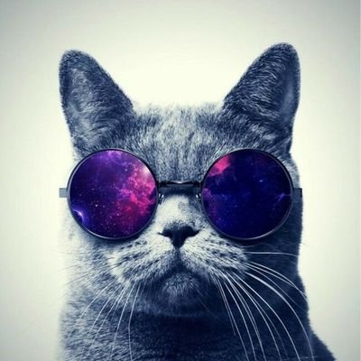 SMhzwn's profile picture. 