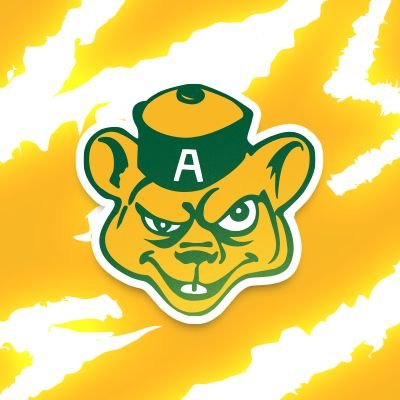 Official Account of the University of Alberta Golden Bears Football Program #BOMB 🐻🏈