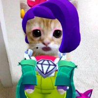 Mudkip🥸 (@p_mudkip) 's Twitter Profile