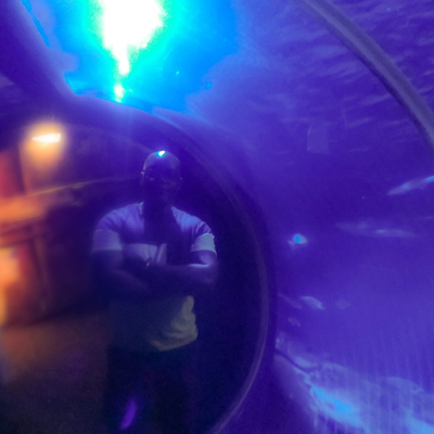 Pr_KNsi's profile picture. 🤖 Machine Learning : Harvard University
⚛️ Quantum Computing: Delft
🧠 Neuroscience: MIT
🛡️ Cyberdefense: RIT
💼 Linguistics : EHESS