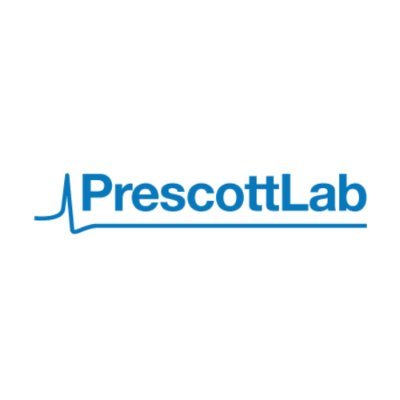 Prescott Lab at SickKids and @UofT. We investigate the biophysical basis of #computation & the computational basis of #pain. 🧠⚡ Tweets by Steve & lab.