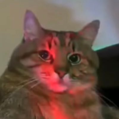 foamroller23's profile picture. 